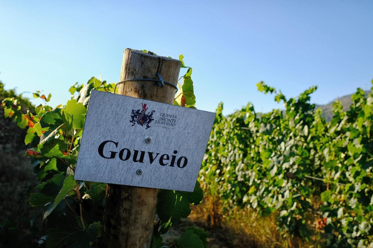 Guest house Quinta Do Monte Travesso - Country & Winery *