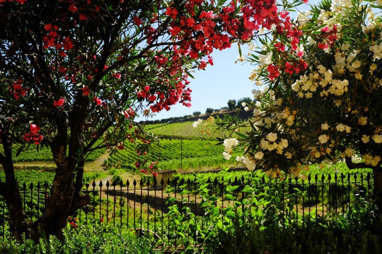 Quinta Do Monte Travesso - Country & Winery Guest house