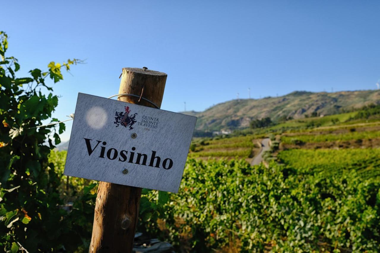 Guest house Quinta Do Monte Travesso - Country & Winery *